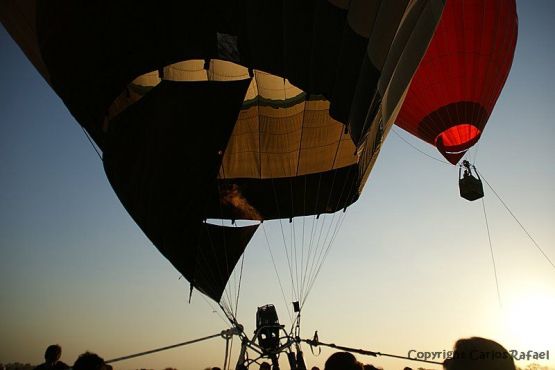 Foto 5/El Globo Rojo