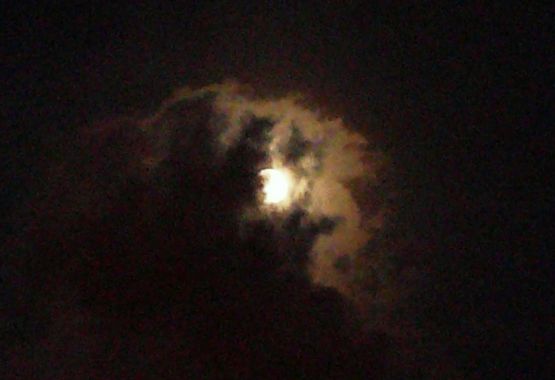 Foto 3/la luna nos ilumina ...