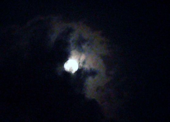 Foto 4/la luna nos ilumina ...