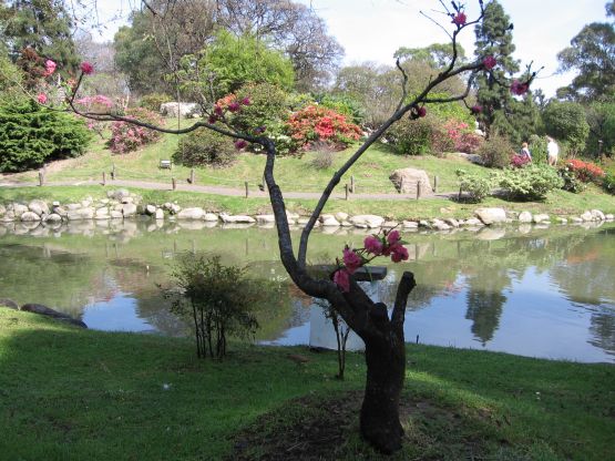 Foto 4/jardin japones