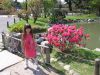 jardin japones