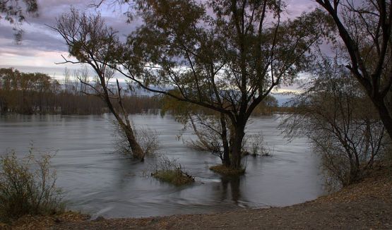 Foto 5/El Fuego y el Agua