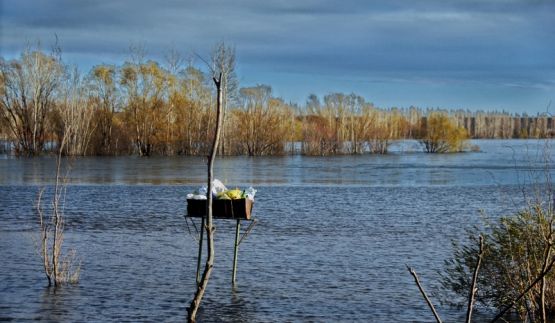 Foto 2/`Sigue la crecida del Limay`