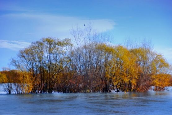 Foto 3/`Sigue la crecida del Limay`