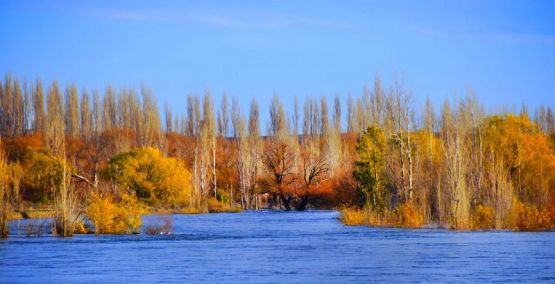 Foto 4/`Sigue la crecida del Limay`