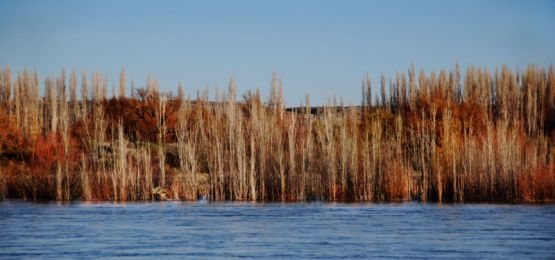 Foto 5/`Sigue la crecida del Limay`