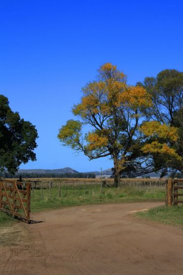 Foto 4/3 estaciones y hermosos caminos