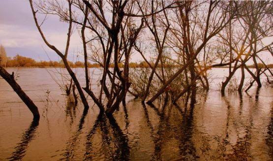 Foto 1/Reflejos en el Limay