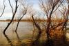 Reflejos en el Limay