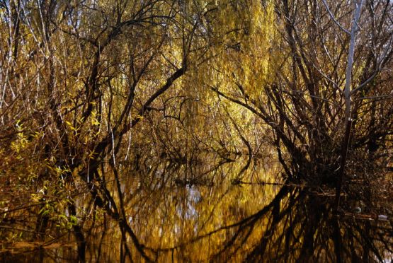 Foto 5/Reflejos en el Limay