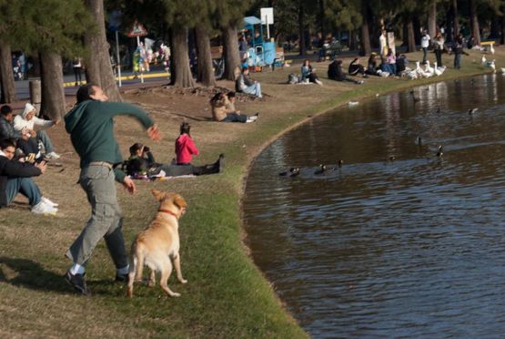 Foto 1/AL Agua Perro