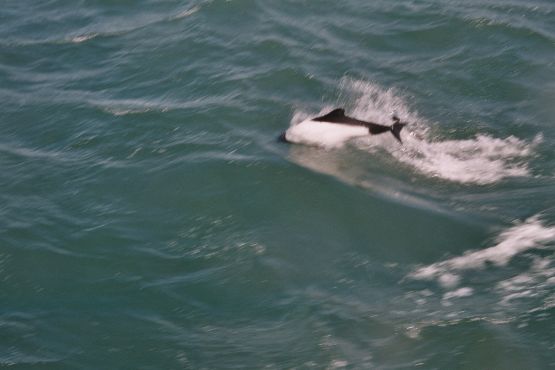 Foto 2/Estrecho de Magallanes