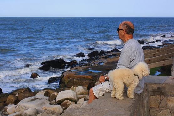 Foto 2/Otra vez Mar del Plata