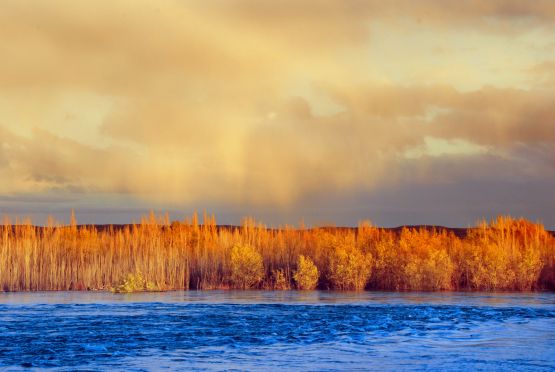 Foto 3/`Rio Limay...correntoso`