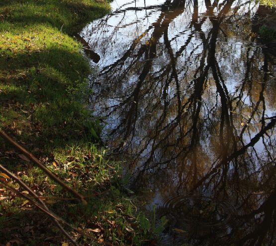 Foto 1/Un arroyo...