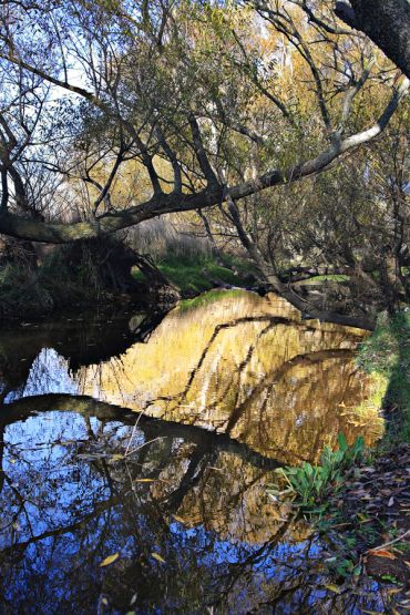 Foto 4/Un arroyo...