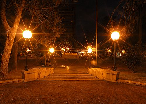 Foto 3/una noche en la plaza