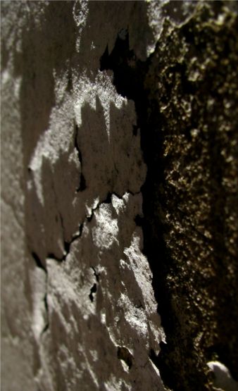 Foto 1/Abstracciones de una pared descascarada.