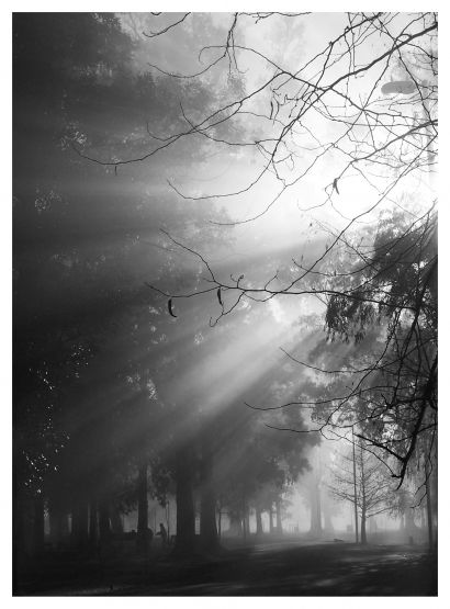 Foto 4/Rayos de sol en la niebla