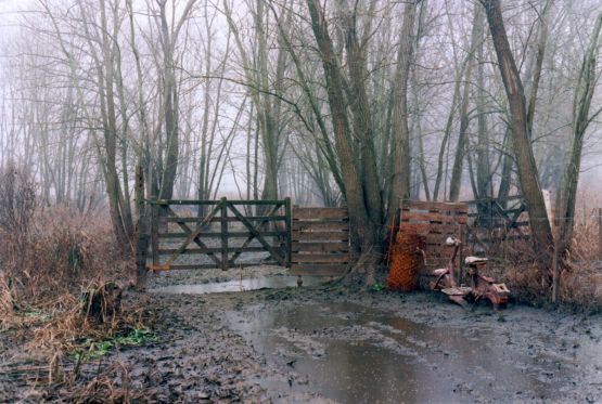 Foto 5/Bosque Encantado