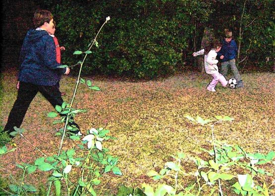 Foto 4/peligro: chicos  tras la pelota