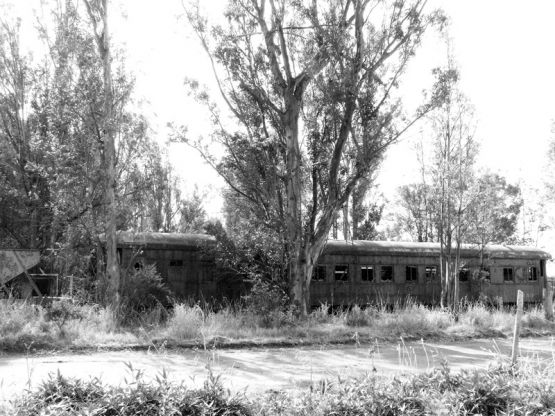 Foto 3/FERROVIARIA