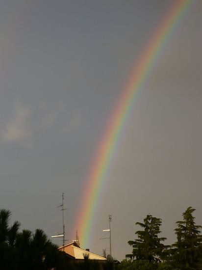 Foto 1/Salio el arco iris!