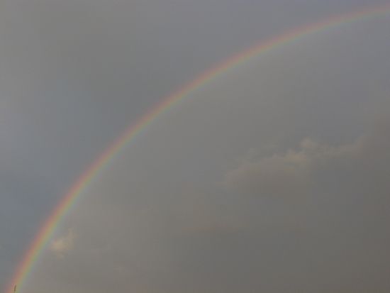 Foto 3/Salio el arco iris!