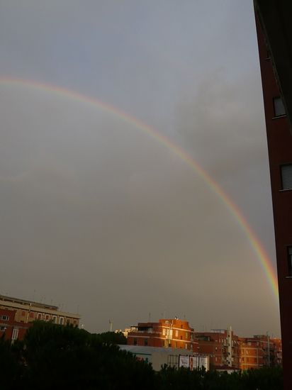 Foto 4/Salio el arco iris!