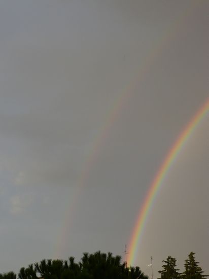 Foto 5/Salio el arco iris!