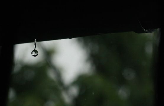 Foto 4/Llueve