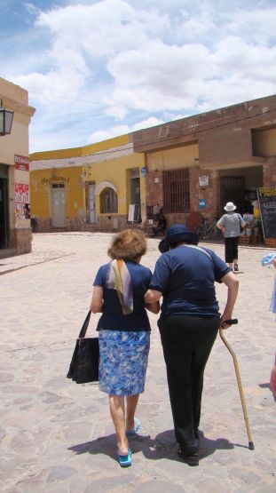 Foto 4/Flores del Desierto