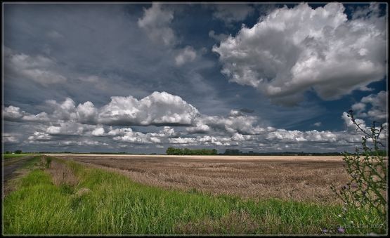 Foto 1/fui al campo