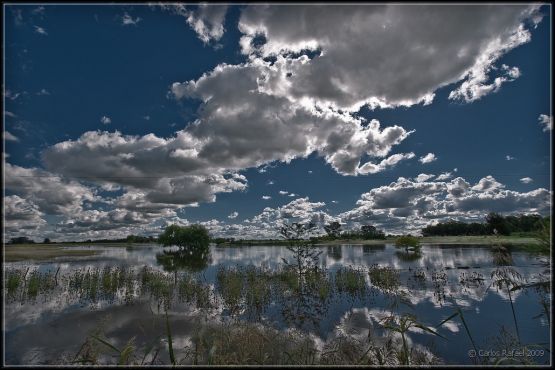 Foto 2/fui al campo