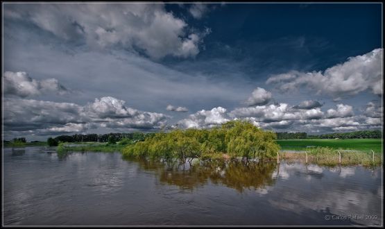 Foto 5/fui al campo