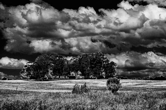 Foto 4/Arboleda y nubes