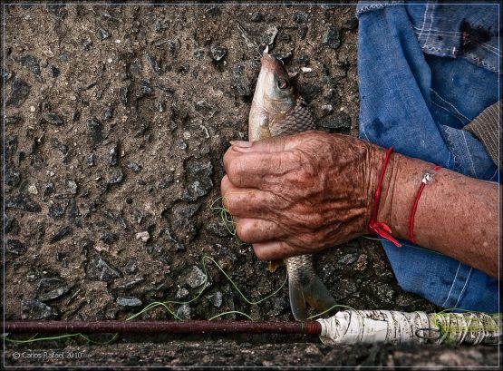 Foto 5/Pescadora de paz