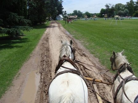 Foto 2/caballos parejeros