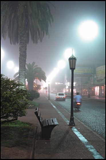 Foto 3/Mi ciudad en niebla