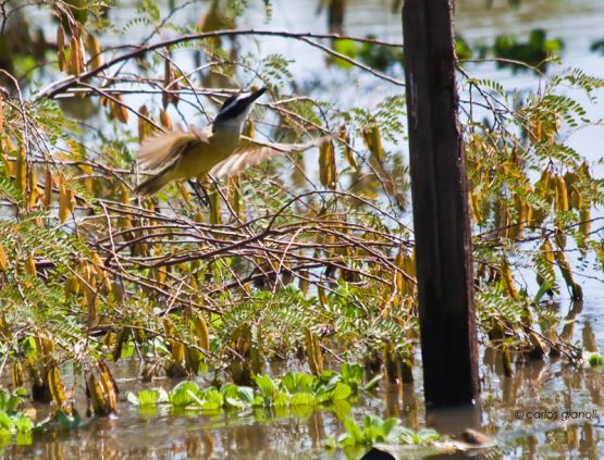 Foto 3/Pescando