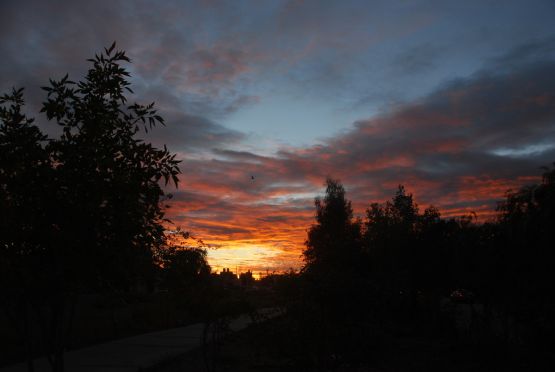 Foto 4/`Nqn hoy amanece tarde `