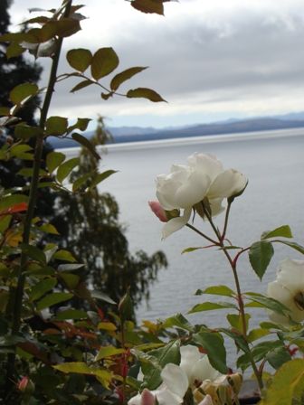 Foto 5/otoo en bariloche