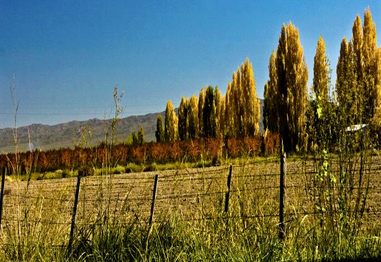 Foto 2/OTOO EN MENDOZA