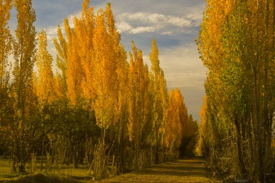 Foto 4/OTOO EN MENDOZA