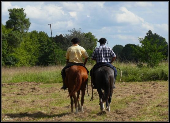 Foto 5/Reunin de a caballo...