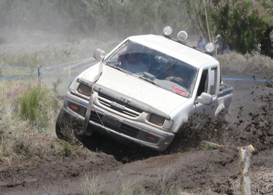 Foto 1/re...volcandose en el barro