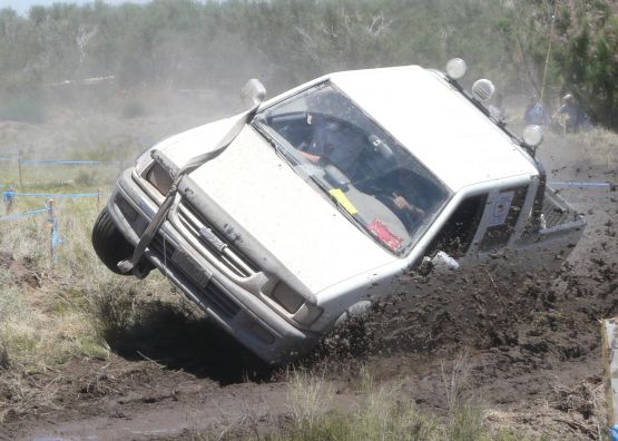 Foto 2/re...volcandose en el barro