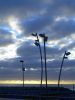 Playa Varese al amanecer