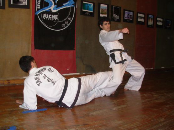 Foto 4/Tae Kwon Do `barrida`