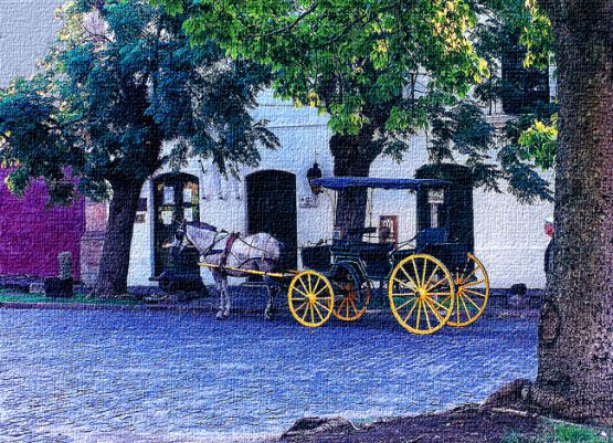 Foto 4/Tarde en las callecitas de colonia